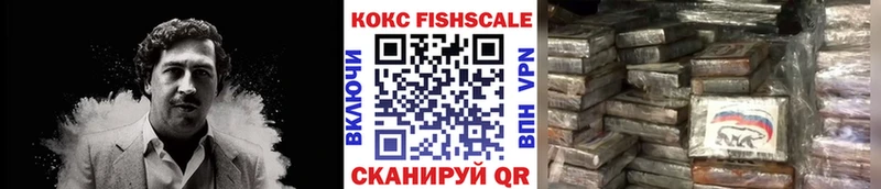 нарко площадка как зайти  Енисейск  КОКАИН Fish Scale 