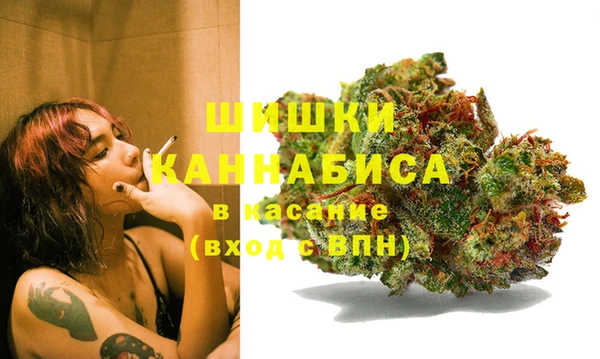 PSILOCYBIN Краснотурьинск