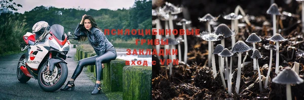мет Алзамай