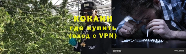 мет Алзамай