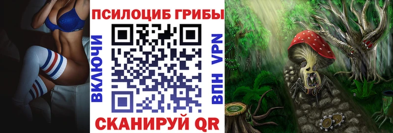 Псилоцибиновые грибы прущие грибы  MEGA ССЫЛКА  Енисейск 